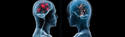 brain-differences-between-sexes1